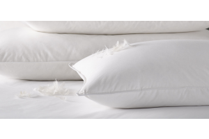 anti allergy bedding for eczema