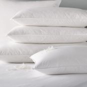 V 100% Cotton Duck Feather and Down Pillow 