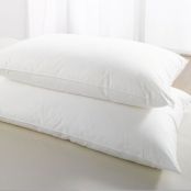 VE Non-Allergenic Microfibre Cover Hollowfibre Pillow (Pack of 2 Pillows)