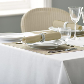 V Polyester Plain Napkin-Pampas