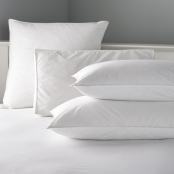 V 100% Cotton Cover Microfibre Pillow 