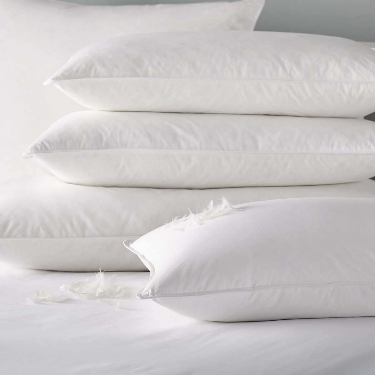 Liddell duck feather and down pillows shop