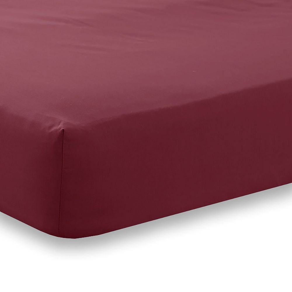 Charlotte Thomas Poetry 4ft Bed Fitted Sheet - Burgundy