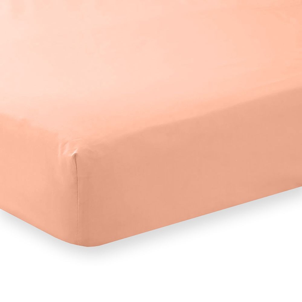 Charlotte Thomas Poetry 4ft Bed Fitted Sheet - Peach