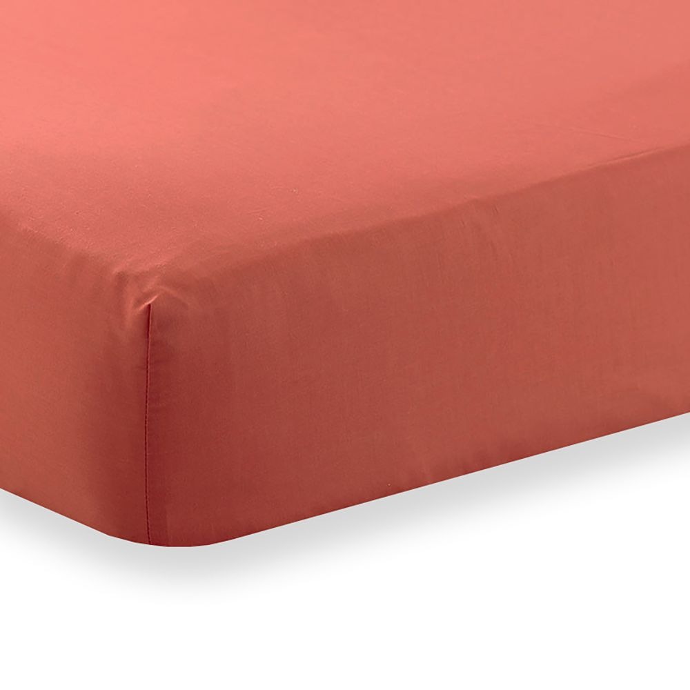 Charlotte Thomas Poetry 4ft Bed Fitted Sheet - Terracotta
