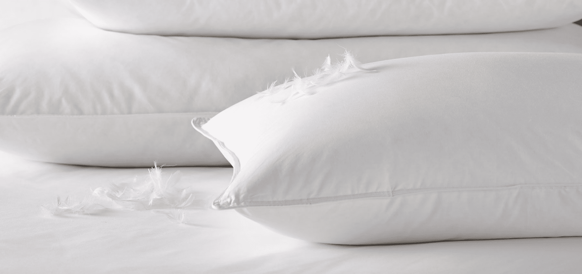 What Bedding Does Hilton Hotels Use?