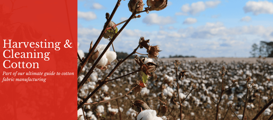 The Ultimate Guide To Cotton Fabric Manufacturing: Part 1 - The Harvesting & Cleaning Process